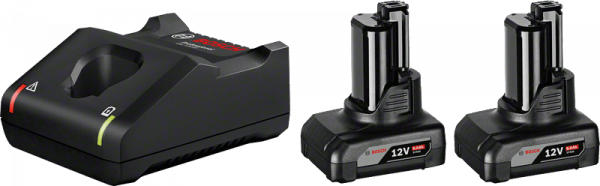 Bosch Starter-Set 2 x GBA 12V 6.0Ah + GAL 12V-40 Professional (1600A01B20)